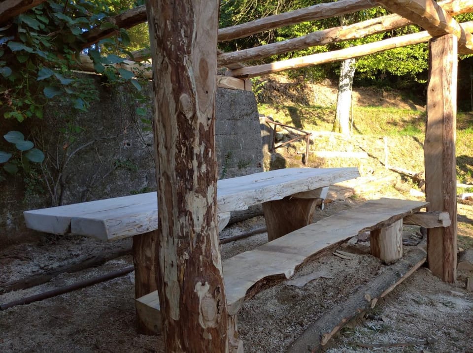 Patio, BBQ facilities, Solarium