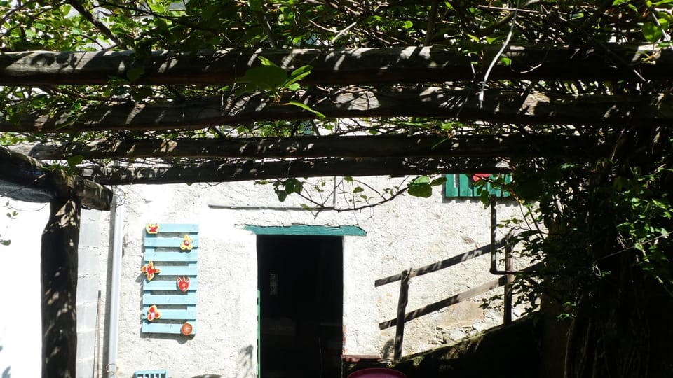 Patio, Garden