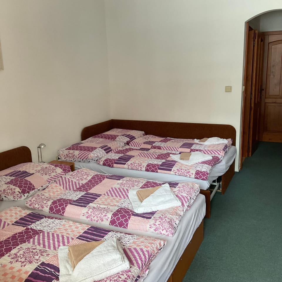 Pension Holiday Bed and Breakfast in Czechia