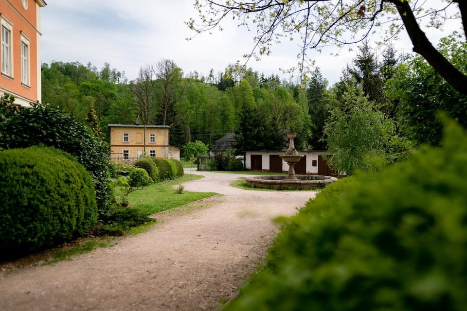 Property building, Garden, Garden view