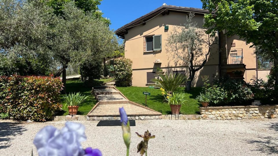 Property building, Garden, Garden view