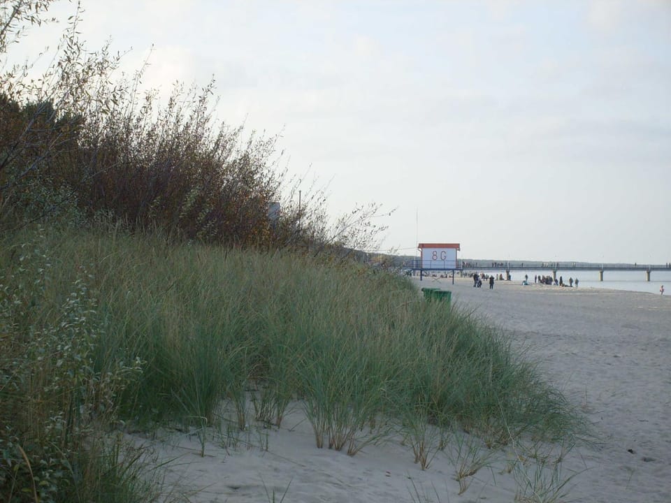 Natural landscape, Beach, Sea view