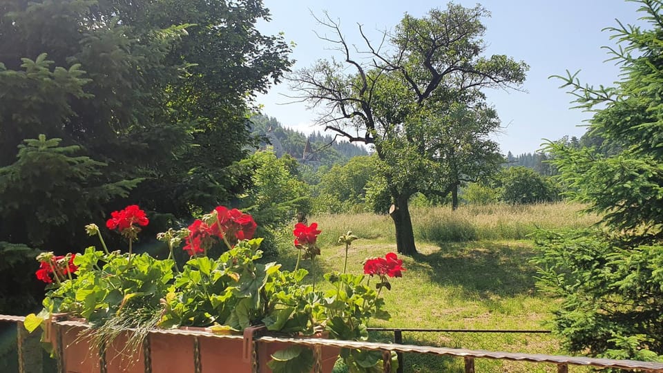 Natural landscape