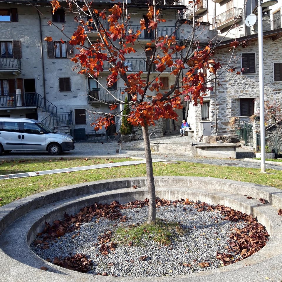 La Vecchia Funivia della Valmalenco Accogliente struttura nel cuore della Valmalenco Apartment in Chiesa In Valmalenco