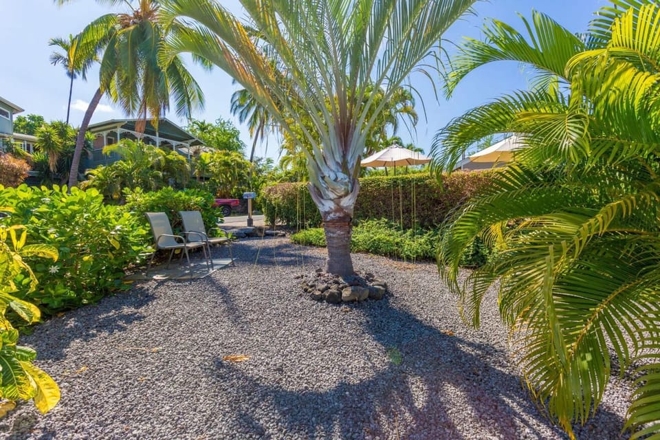 Natural landscape, Garden, Garden view