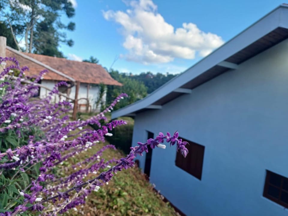 Chalés Alto da Serra 1 House in Campos do Jordão