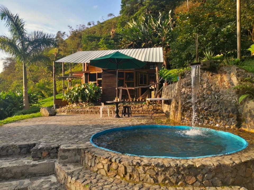 Natural landscape, Garden view