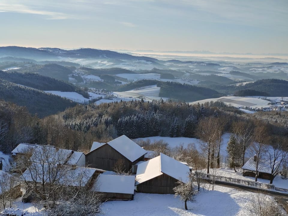 Natural landscape, Winter, View (from property/room)