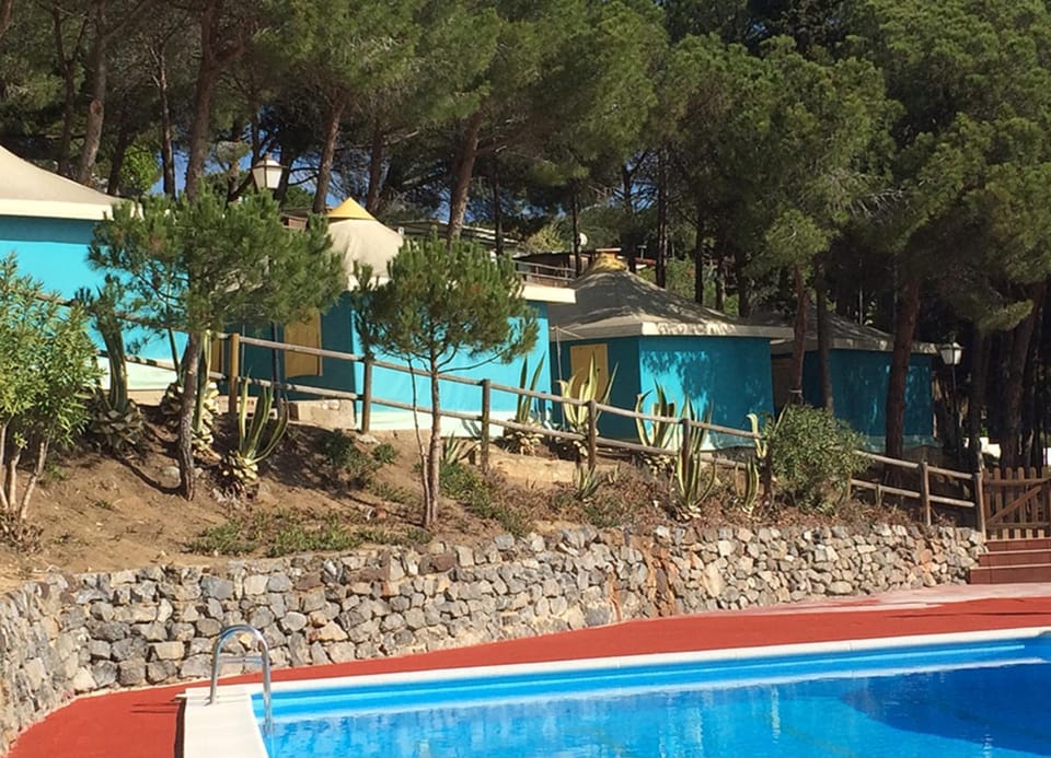 Day, Pool view, Swimming pool