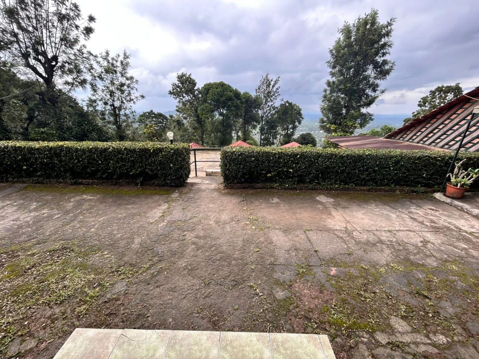 Natural landscape, Garden, Garden view