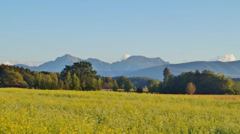 Mühlberger Hof Farm Stay in Berchtesgadener Land