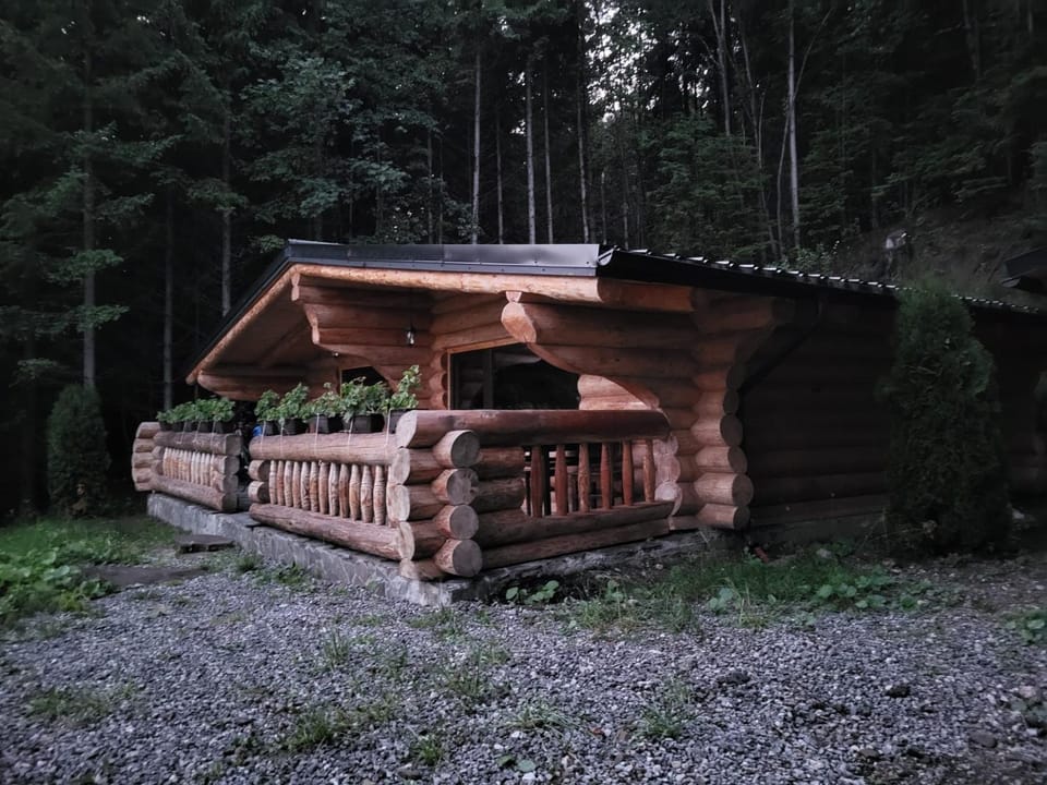 Cabanele silvania 1 Bed and Breakfast in Romania