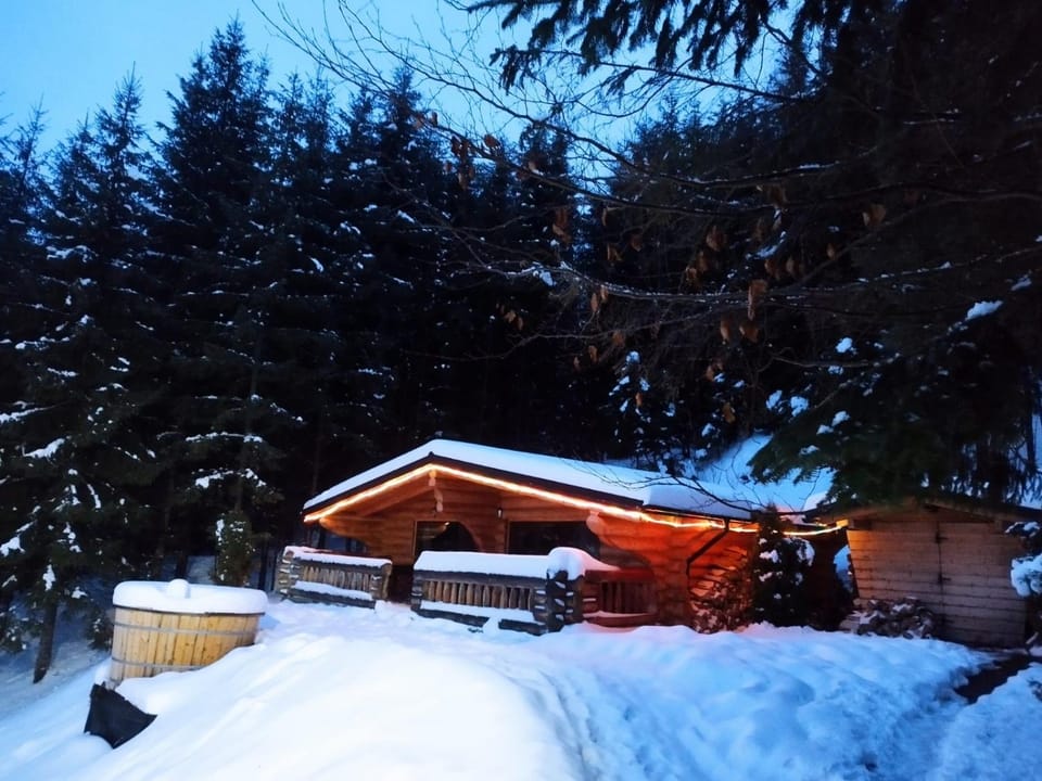 Cabanele silvania 1 Bed and Breakfast in Romania