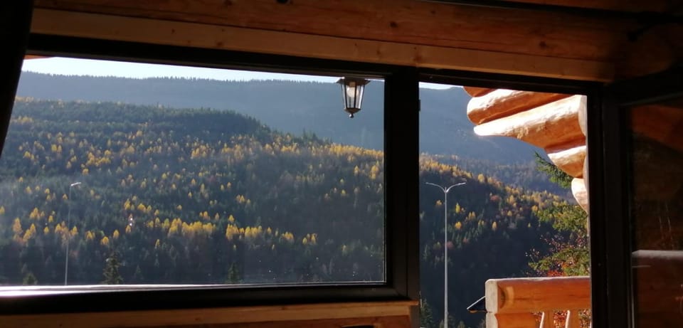 Cabanele silvania 1 Bed and Breakfast in Romania