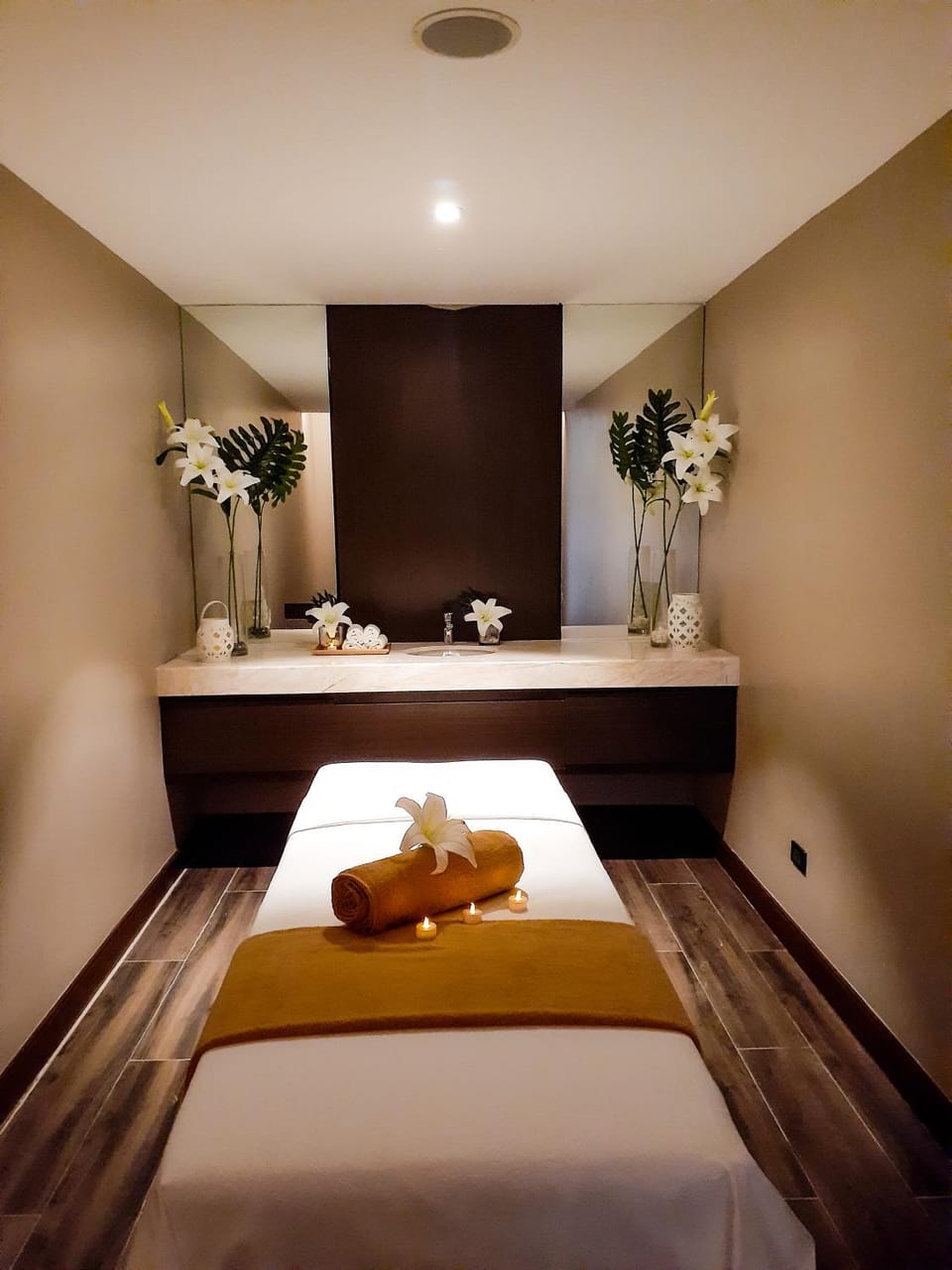 Spa and wellness centre/facilities