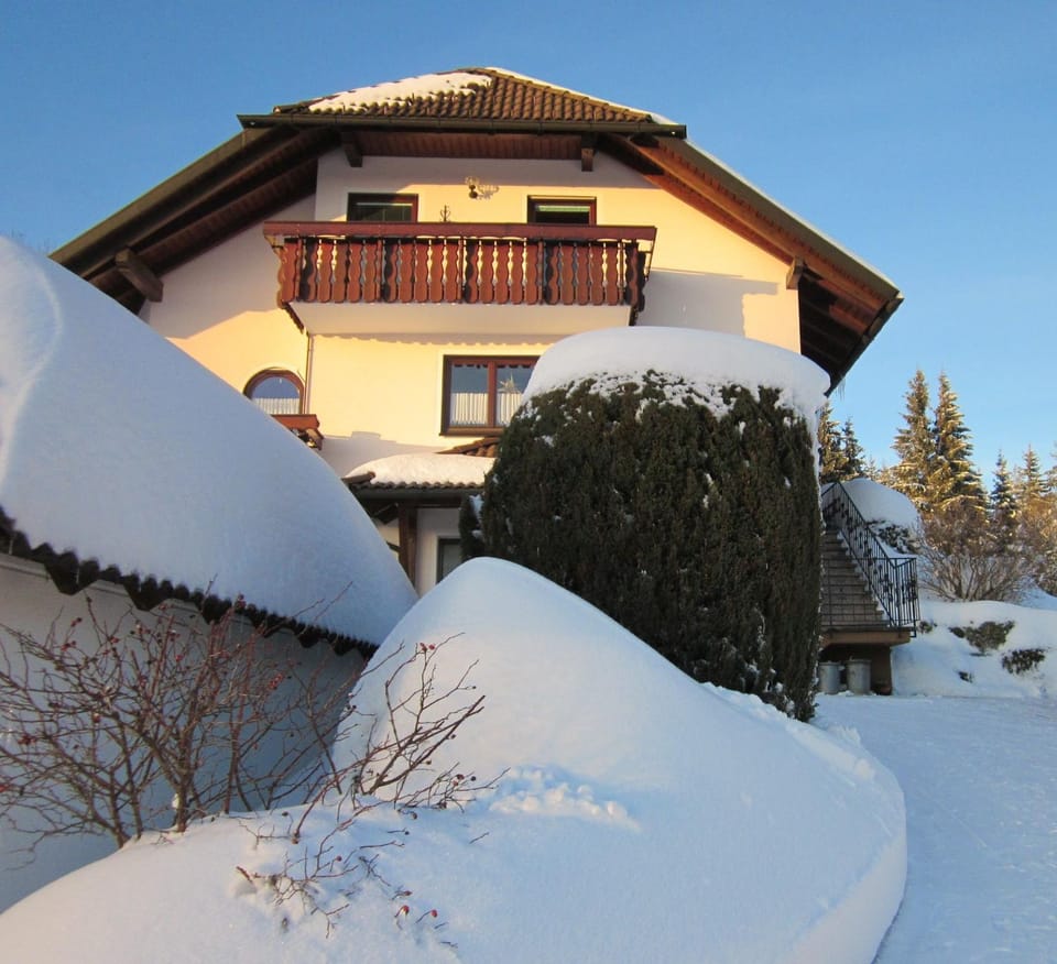 Winter