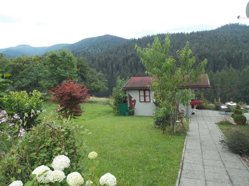 Garden view
