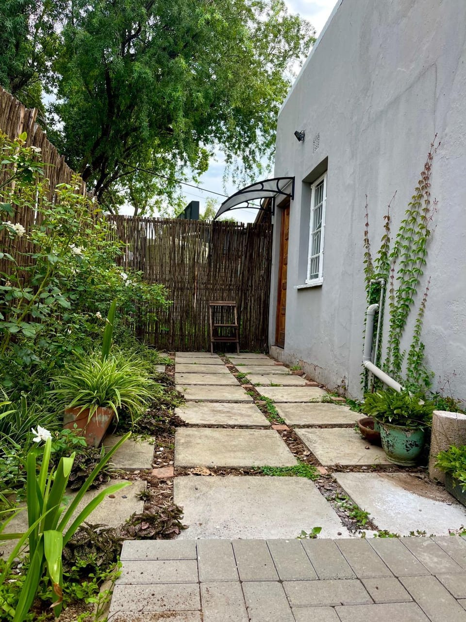 Garden view