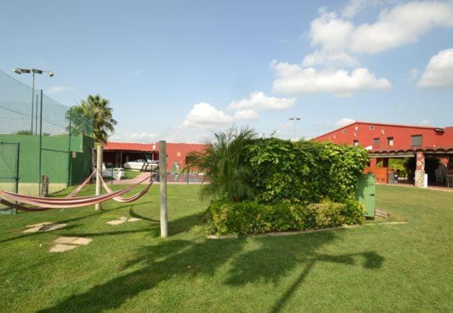 Children play ground, Garden