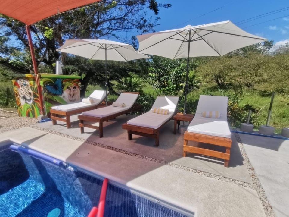 Patio, Solarium, Swimming pool, Swimming pool