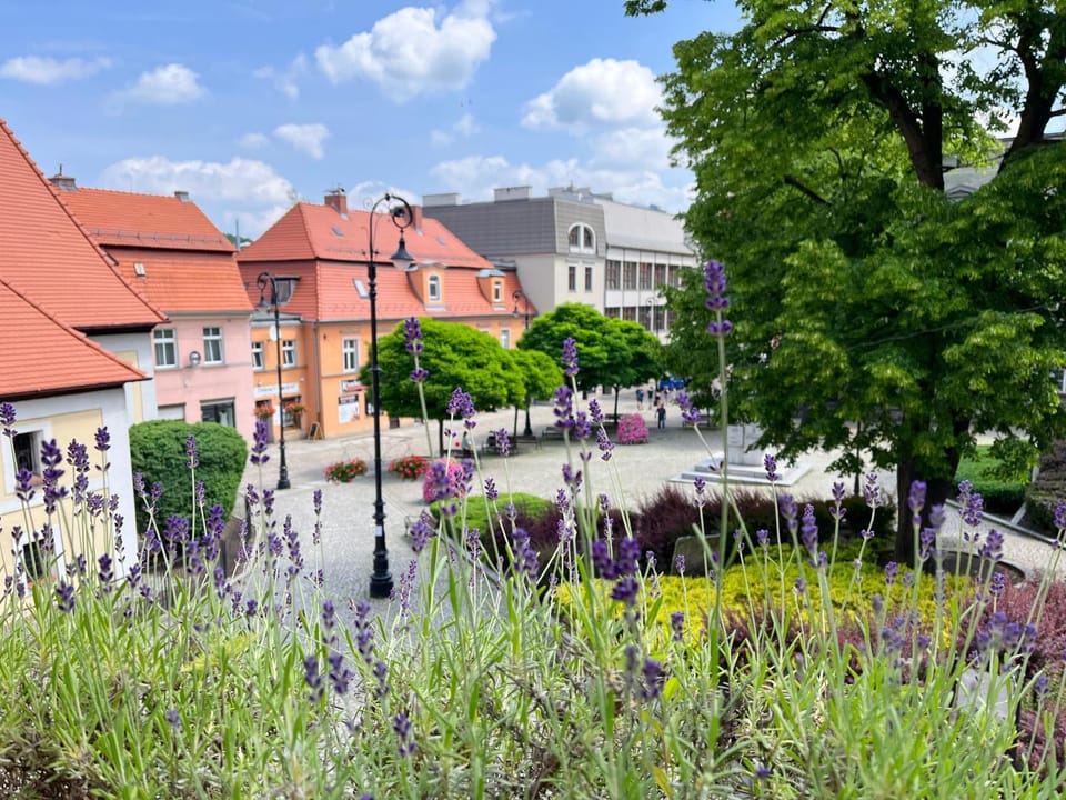 Day, Neighbourhood, Natural landscape, City view, Street view, Location