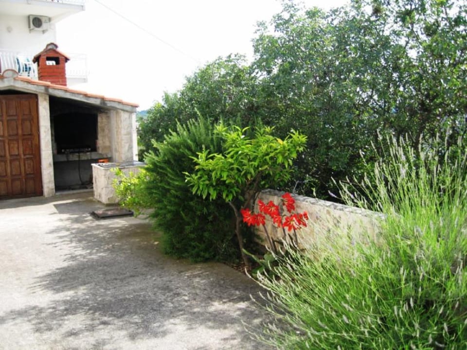 Neighbourhood, Garden, Garden view