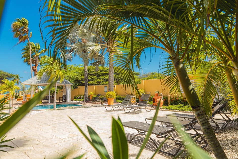 Property building, Garden, Garden view