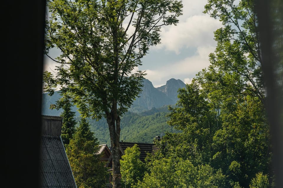 Day, Natural landscape, Garden, View (from property/room), Garden view, Mountain view