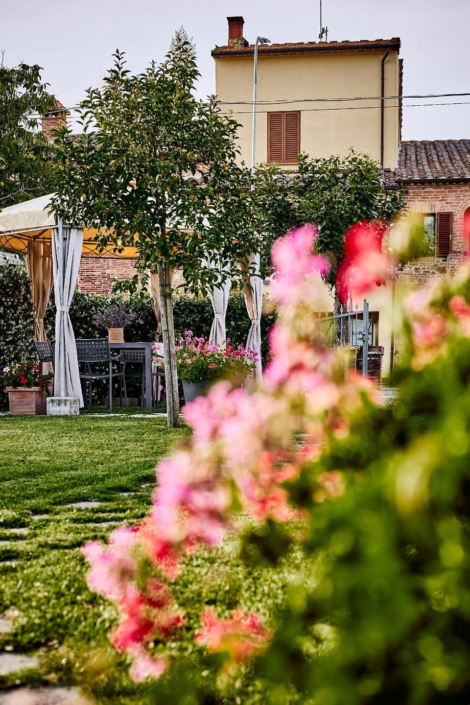 Garden view