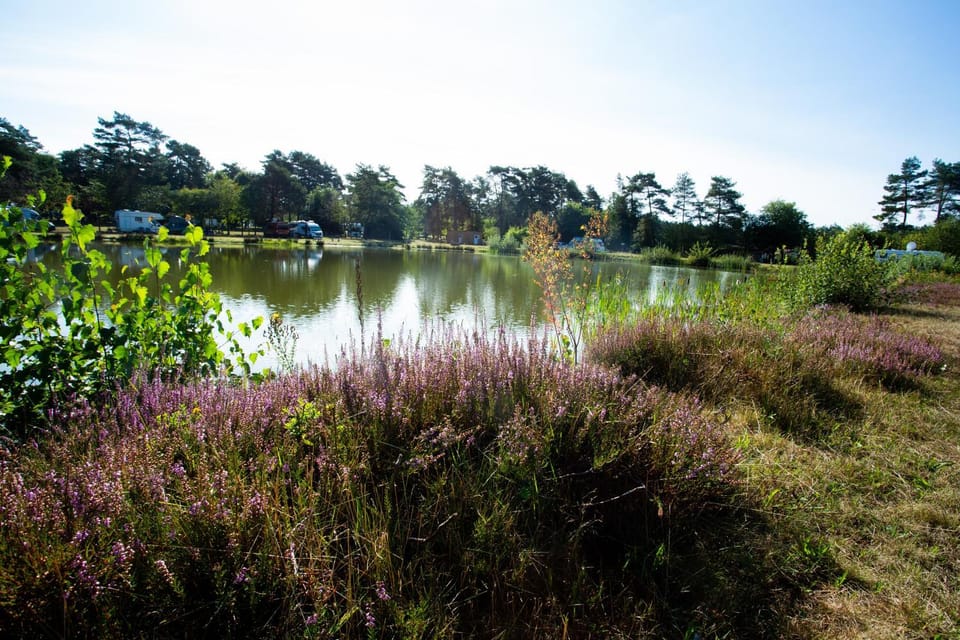 Natural landscape, Hiking, Lake view