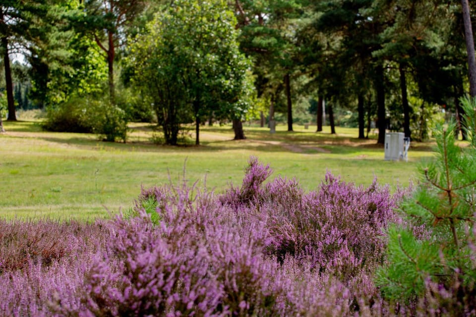 Natural landscape, Garden