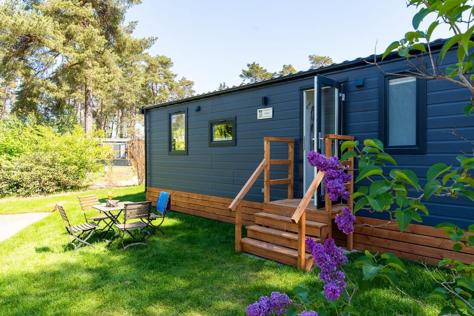 Property building, Garden, Garden view