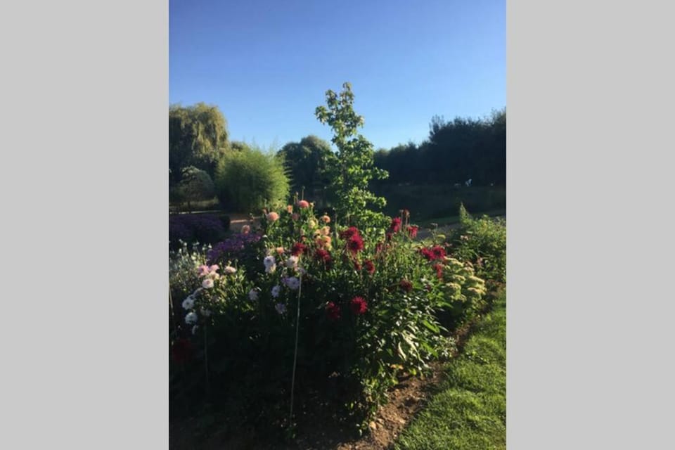 Coeur de Combray (Ifs appartment) Apartment in Normandy