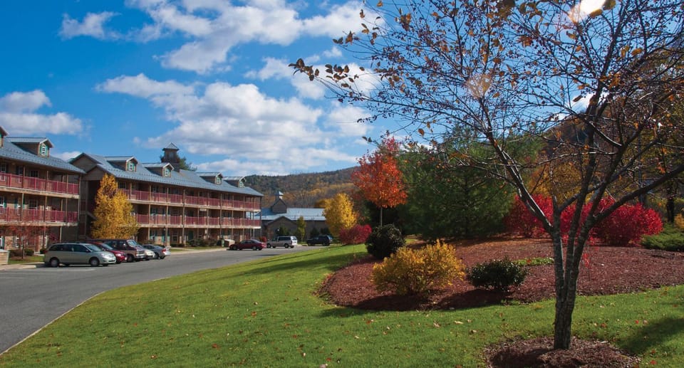 Property building, Garden view