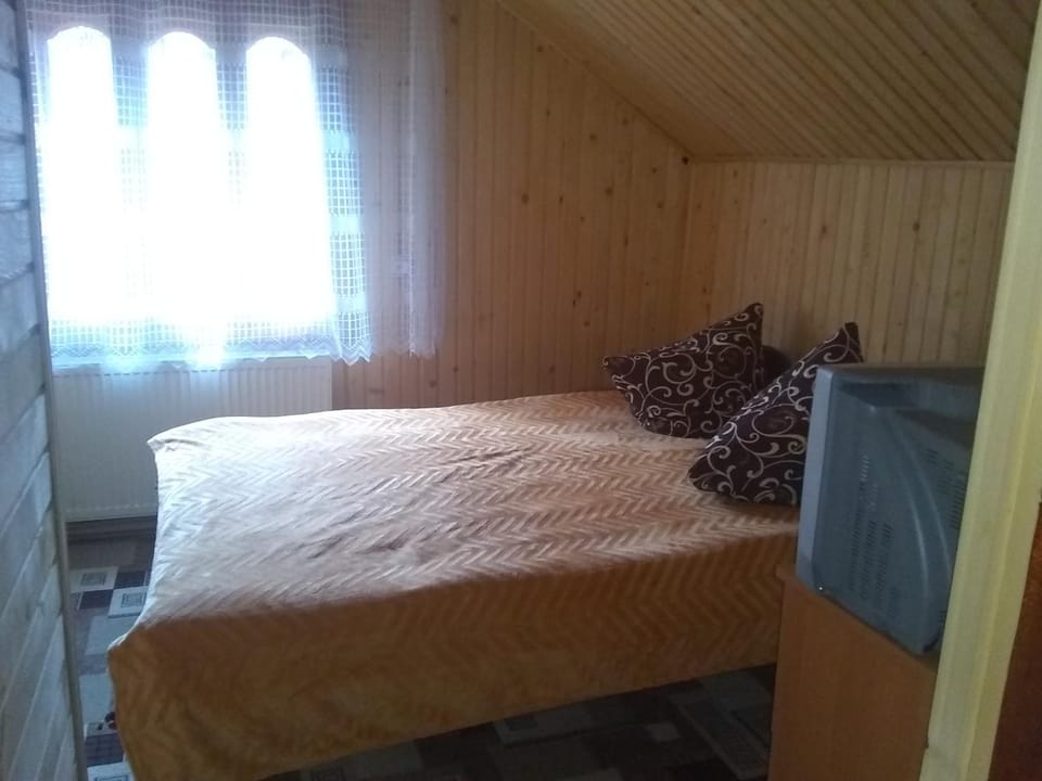 Хатина в горах Apartment in Ukraine