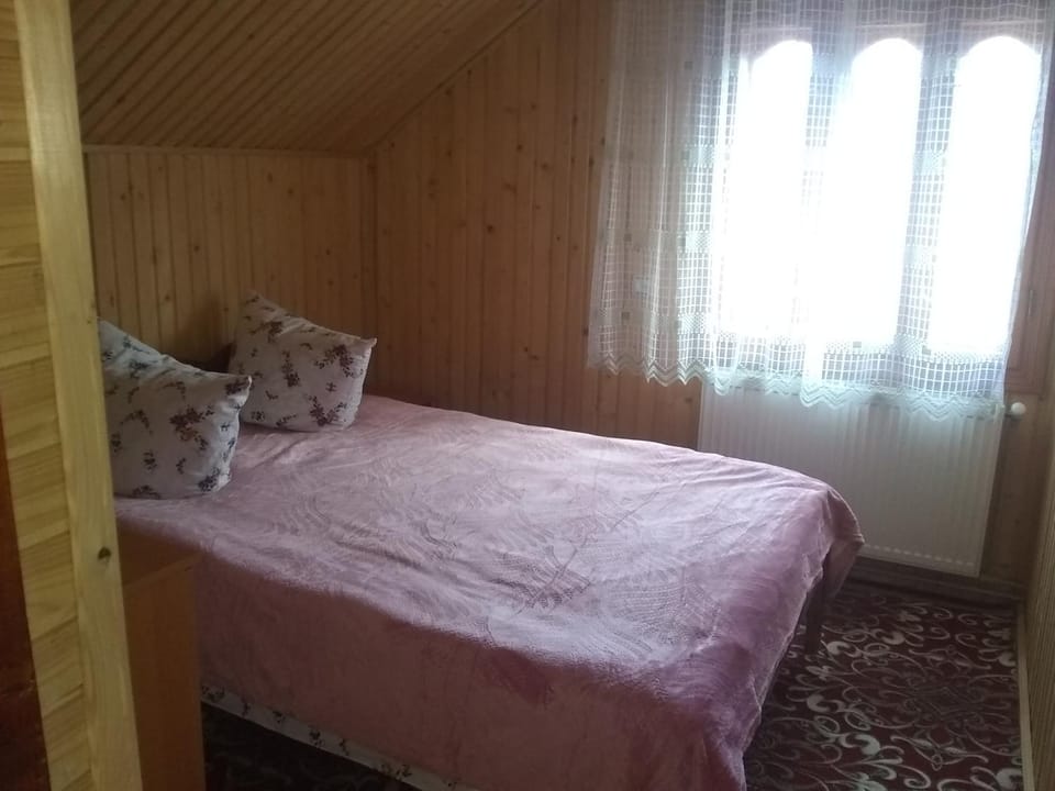 Хатина в горах Apartment in Ukraine