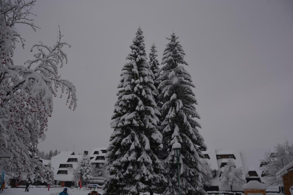 Natural landscape, Winter