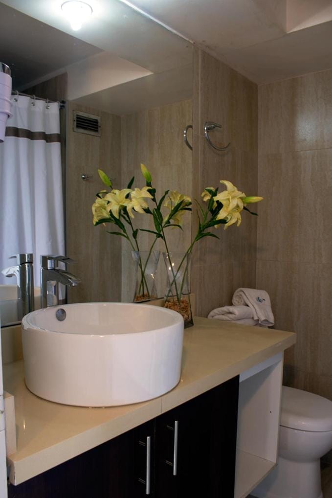 Bathroom, hair dryier, towels