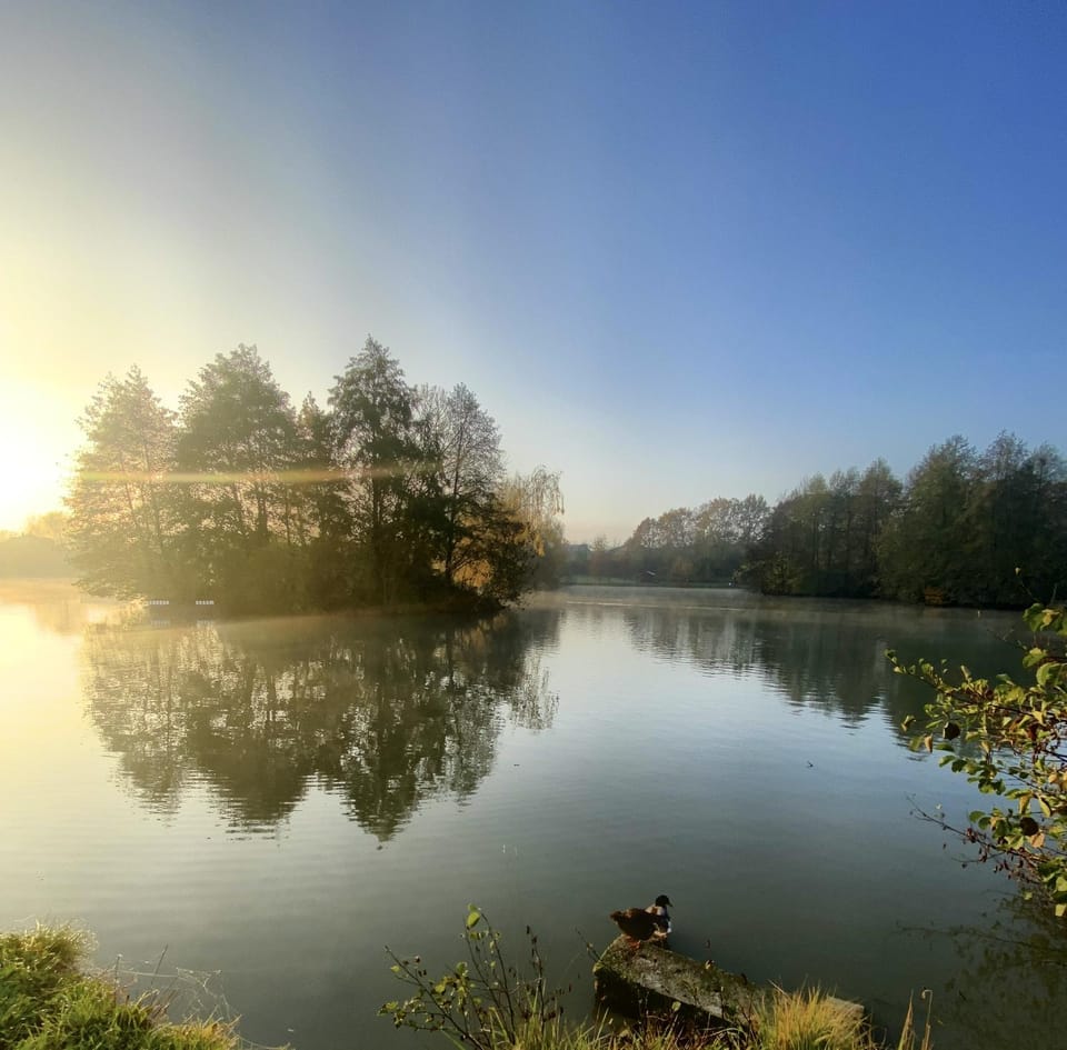 Natural landscape, Fishing, Hiking, Lake view, Sunrise