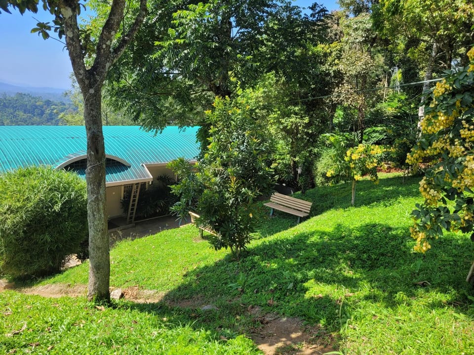 View (from property/room)
