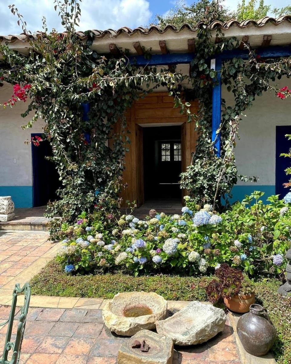 Patio, Garden