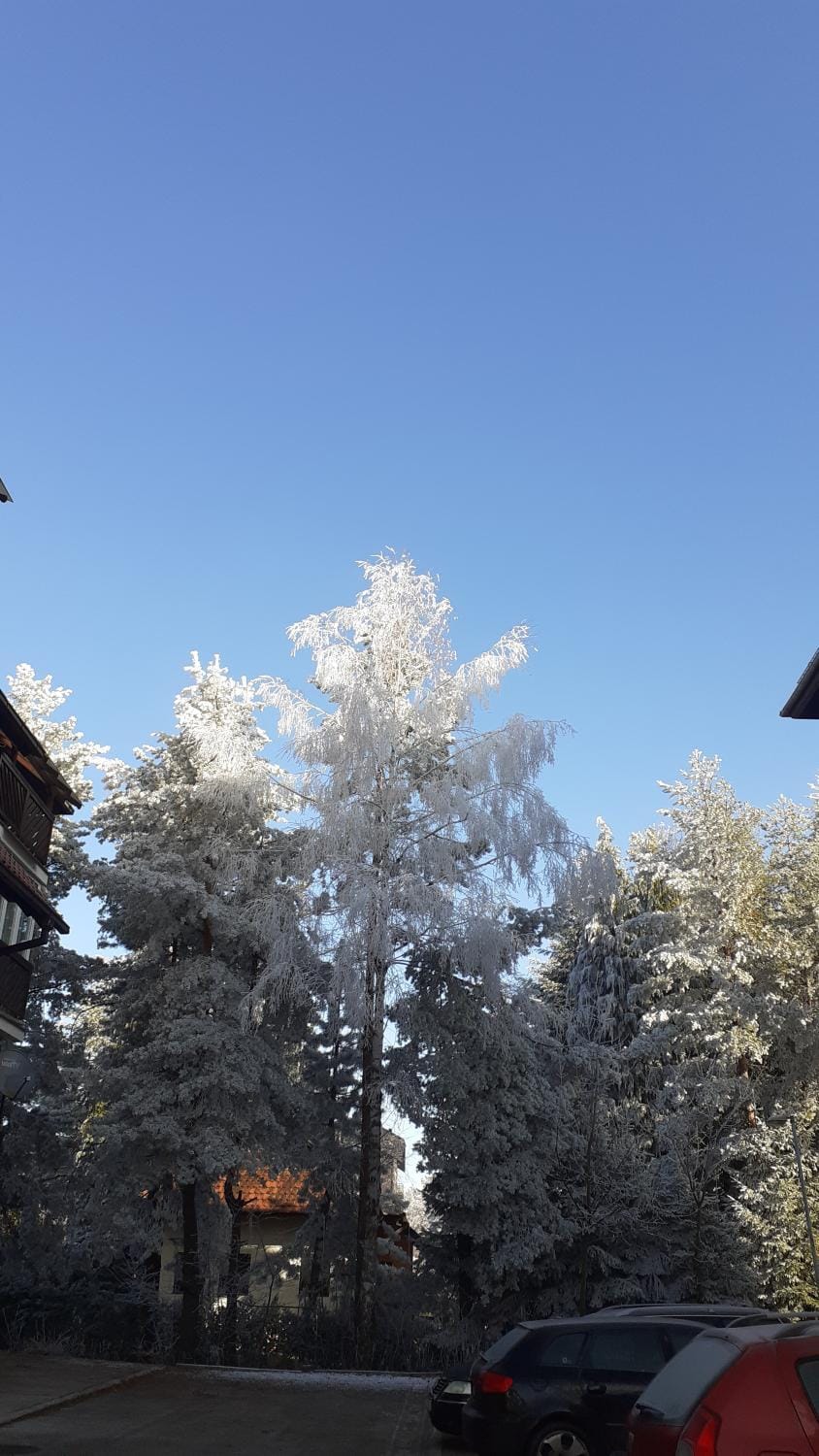 APARTMAN BOJANA Apartment in Zlatibor