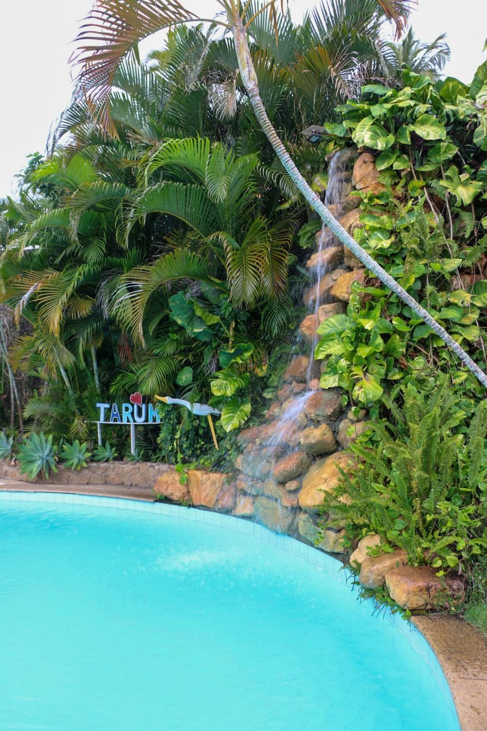 Pool view