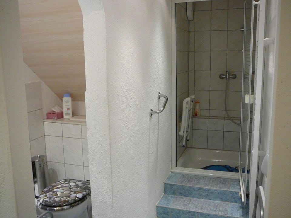 Bathroom, Living room