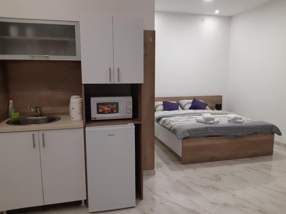 Villa Anela Apartment in Novi Sad