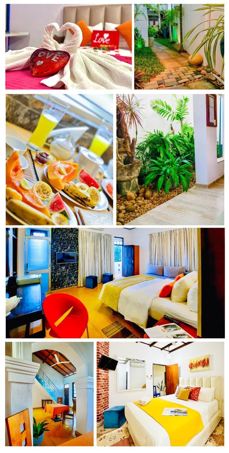 Property building, Garden, Photo of the whole room, Seating area, Food