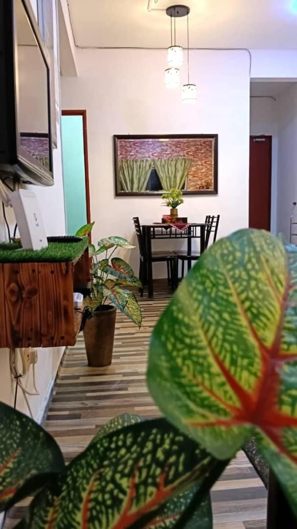 Rose Camelia Homestay Apartment Ladang Tok Pelam FREE WiFi & Fully Furnished Apartment in Terengganu, Malaysia