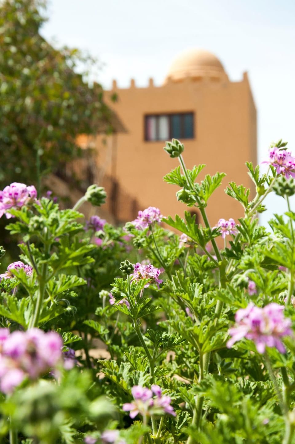 Gîte Raid Oriental Bed and Breakfast in Morocco