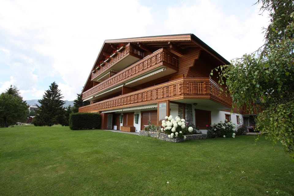 Property building, Garden view