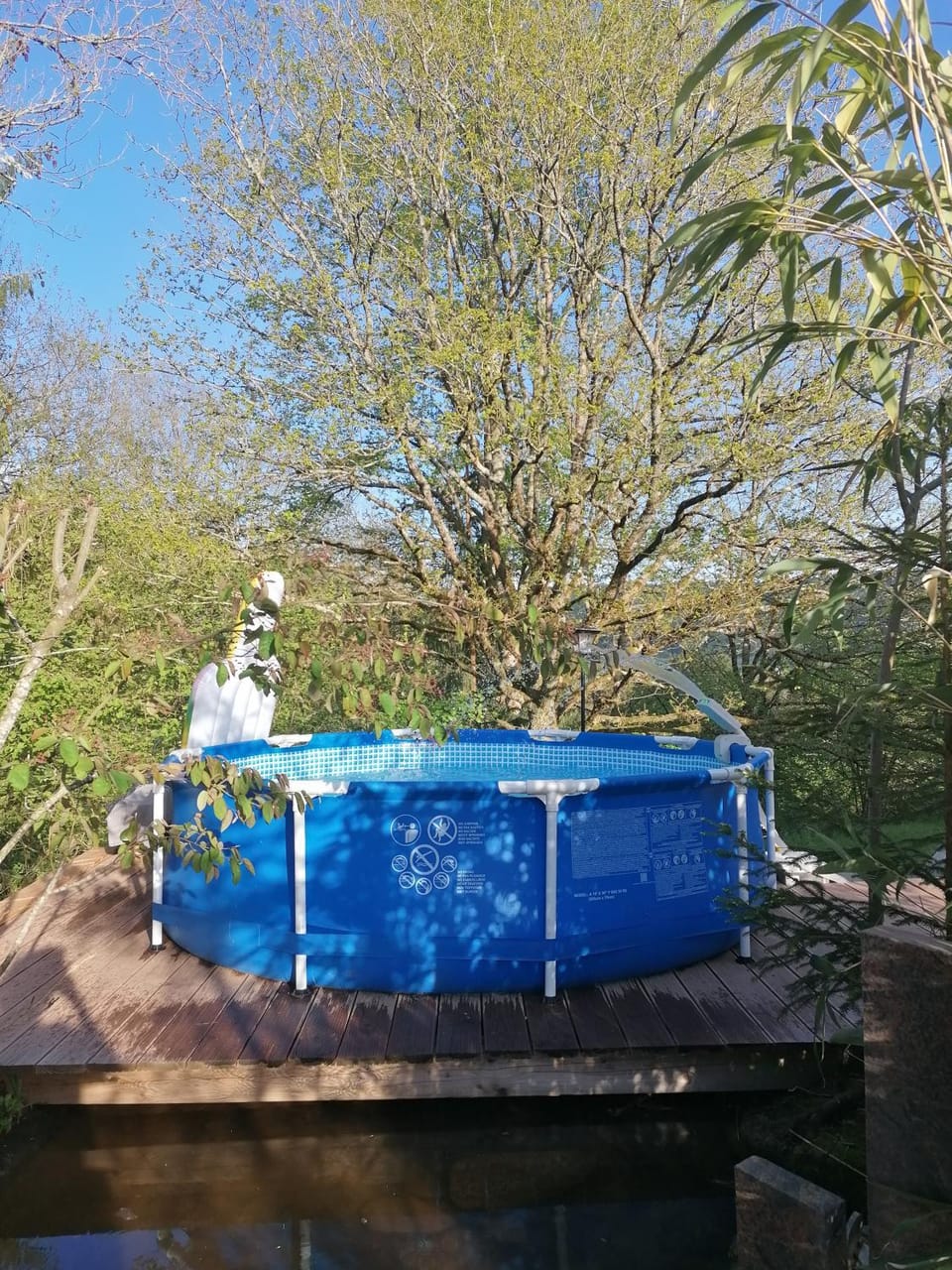 Pool view, Pool view, Swimming pool